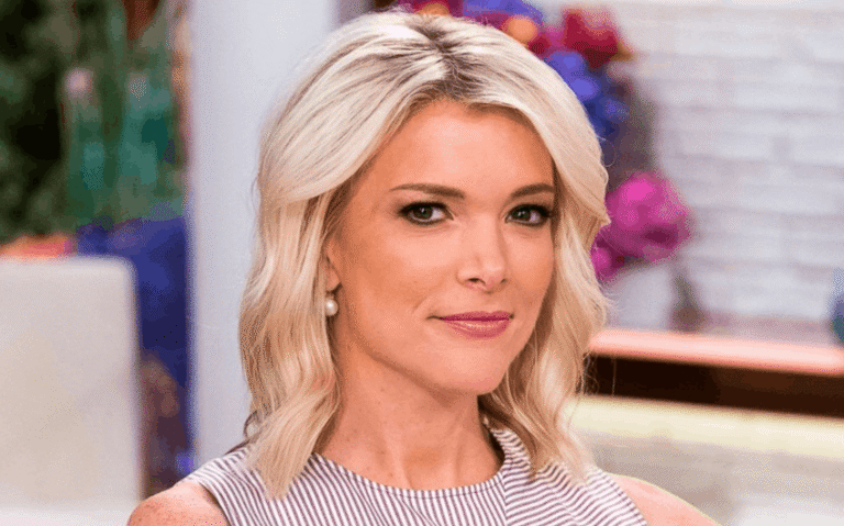 Megyn Kelly Husband Douglas Brunt: Author, CEO, and the Life He Built Off Camera